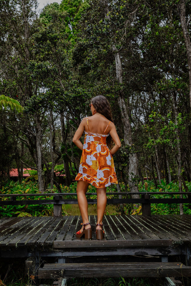 Remy Dress in Brown Hibiscus Rainbow