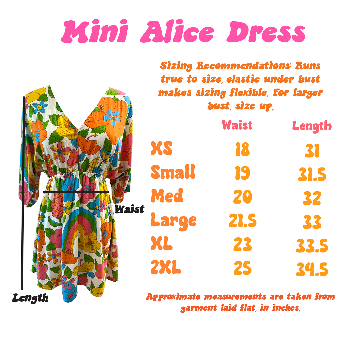 Mini Alice Dress in Tutu's Garden