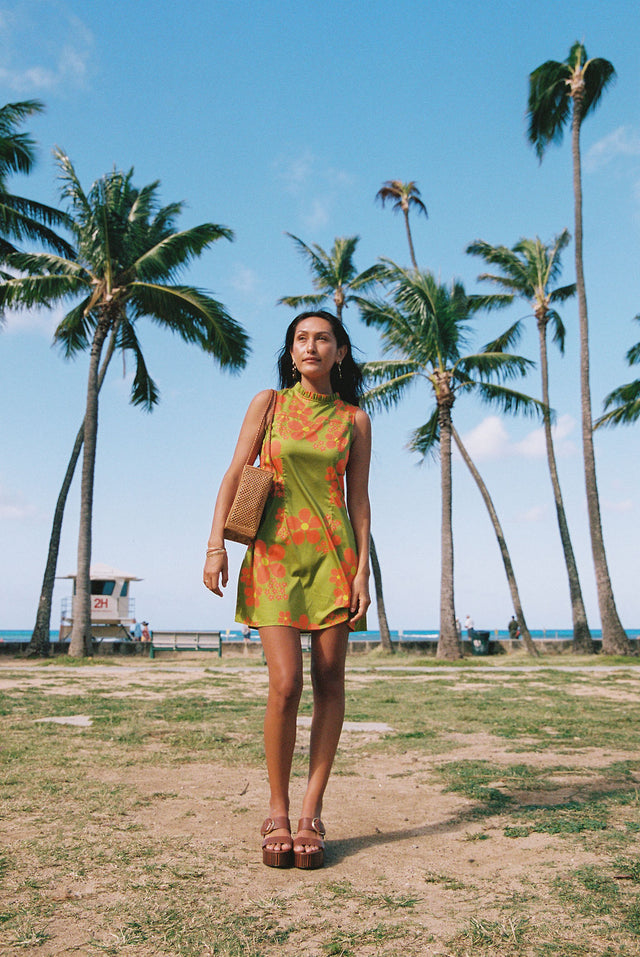 Jennie Dress in Dark Olive Nau