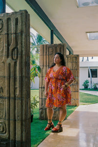 Mini Alice Dress in Tutu's Garden