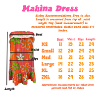Mahina Dress in Blue Hibiscus Rainbows